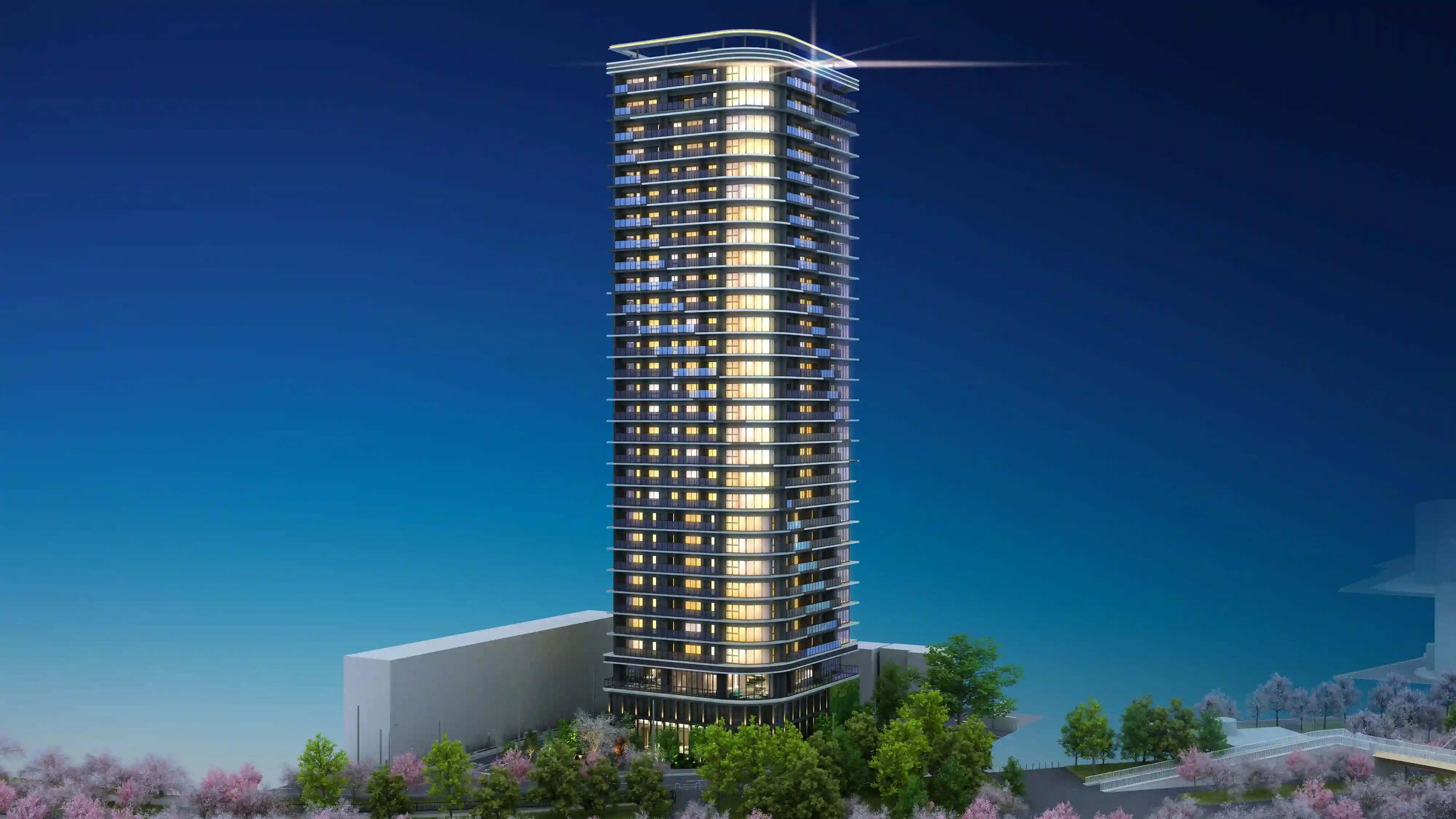 パノラマ画像 5